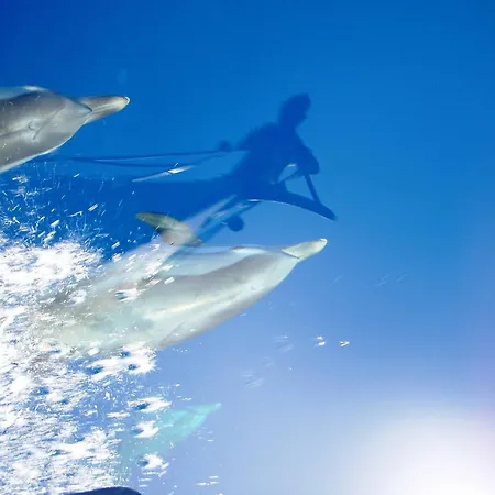 Sailing In Croatia - Private Sailing Yacht 14m Holiday home